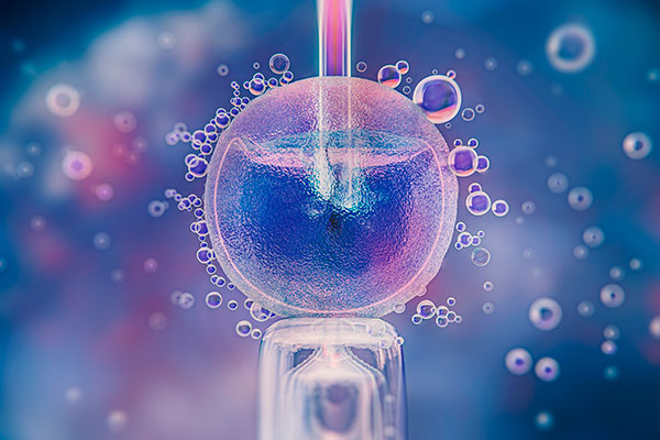 A fertilização in vitro numa perspectiva espiritual